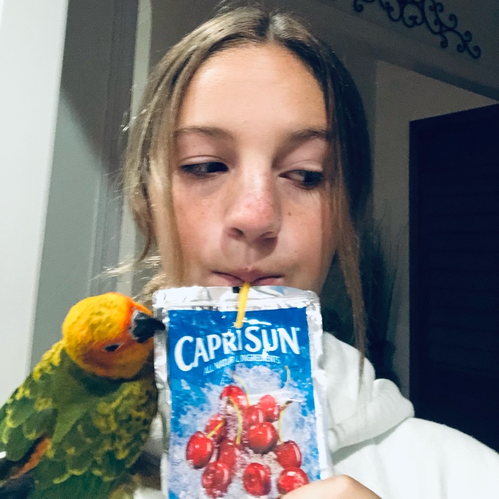 Meet your Posher, Karli